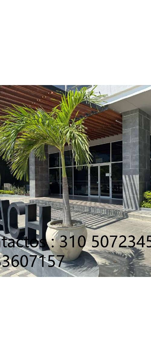 Apartamento en venta en Santa Marta